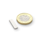 supaneo® Block N35 Nickel Plate 20mm x 5mm x 1.5mm (A)