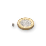 supaneo® Neodymium Disc N35 3mm diameter x 4mm (A)