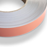 magfix® Steel Tape 25.4mm T51865 With Adhesive 3" Core 30m